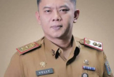 PPPK Paruh Waktu di Way Kanan Dilarang Rangkap Jabatan, Batas Pilihan hingga 31 Desember