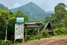 Hanya 1 Jam Dari Bandar Lampung, Wisata Air Terjun Gunung Betung, Suguhkan Pemandangan Alam Nan Asri 