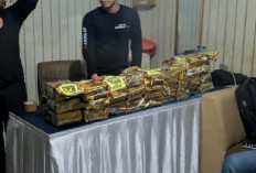 Bea Cukai Gagalkan Penyelundupan 117 Kilogram Sabu di Pelabuhan Bakauheni, 4 Pelaku Ditangkap