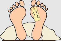 Geger! Pelajar SMK Di Lampung Ditemukan Tewas Membusuk di Kebun Sawit Tulang Bawang 