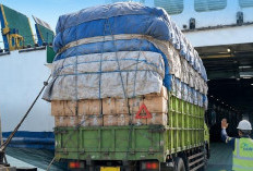 Mengintegrasikan Nadi Logistik, Strategi ASDP Terapkan Zero ODOL di Penyeberangan