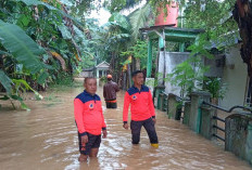 Hujan Lebat Picu Banjir di Lampung Utara, Puluhan Rumah dan Sekolah Terendam