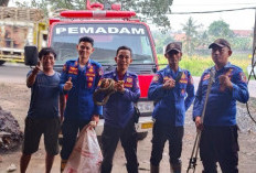 Ular Sanca Masuk Gudang, Pemilik Rumah Sempat Panik
