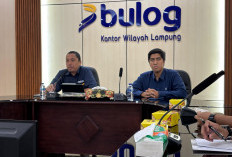 Lampaui Target, Bulog Lampung Diproyeksi Serapan 2026 Tembus 250 Ribu Ton