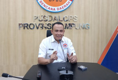 42 Titik Hotspot Terdeteksi di Lampung, 8 Masuk Kategori Sedang