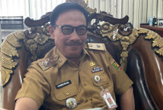 Realisasi Investasi Lampung 2025 Tertinggi Lima Tahun Terakhir, Target 2026 Diproyeksikan Rp13–14 Triliun