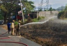 Marak Kebakaran Lahan di Musim Kemarau, Damkarmat Bandar Lampung Catat 3 Insiden Berturut-turut