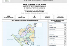 BMKG Deteksi 378 Titik Panas di Lampung, 7 Hotspot Dekat Bandara Radin Inten II