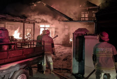 Pangkalan Gas LPG Di Kota Sepang Bandar Lampung  Ludes Terbakar, Satu Pekerja Alami Luka Bakar 50 Persen