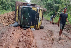 Jalan Provinsi Tajab-Serupa Indah Waykanan Rusak Parah, Deretan Truk Muatan Terjebak