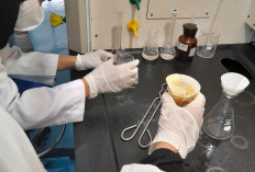 Mahasiswa Universitas Lampung Tembus Forum Internasional, Angkat Isu Pencemaran Logam Berat