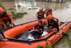 Diterjang Banjir 2 Meter, Basarnas Evakuasi 20 Warga Jati Agung Lampung Selatan