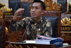 Soal Dana BOK, Komisi IV Dorong Dinkes Bertindak 
