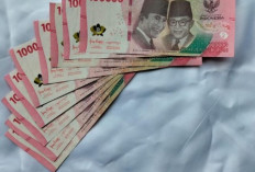 Jadwal Gaji ke-13 ASN 2026 Cair Mulai Juni, Ini Besaran dan Penerimanya