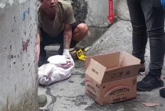 Geger, Jasad Bayi Laki-laki Ditemukan di Sungai Sawah Brebes Bandar Lampung 