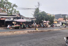 Cuaca Lampung Hari Ini Dominan Cerah, BMKG Catat Suhu Mencapai 35°C