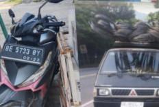 Mobil L300 dan Dokumen Negara Hilang Secara Serentak Di Palas Lampung Selatan?