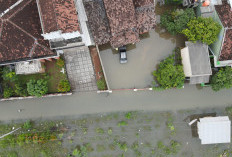 Banjir Telan Korban di Bandar Lampung, WALHI: Ini Bukan Bencana Alam, Tapi Salah Tata Kelola Kota