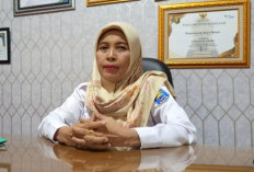 Siap-siap Daftar! Job Fair Online Metro Tawarkan 100 Posisi dari 15 Perusahaan, Pendaftaran Dibuka 27 Oktober