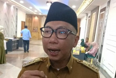 Gubernur Mirza Respons Dugaan Ilegal Logging di Pesisir Barat