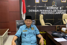 Produk Tanpa Izin Edar Ditemukan Saat Sidak Pasar dan Supermarket, DPRD Lampung Minta Pelaku Usaha Urus PIRT