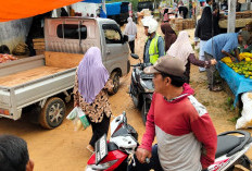 Warga Keluhkan Pasar Pemda KM 2 Makin Semrawut, Pemkab Way Kanan Segera Tertibkan Kendaraan Menghalangi Jalan