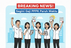 Gaji PPPK Paruh Waktu Tak Seragam, Pemkab Lampung Selatan Ungkap Dasar Penetapannya