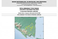 10 Kabupaten di Lampung Diterjang Titik Panas, Ini Wilayahnya