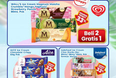 Hanya Hari Ini, Promo ‘Es Krim Day’, Beli 2 Gratis 1 Khusus Member