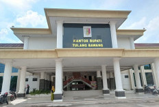 Portal Data Tulang Bawang Terintegrasi Dengan Satu Data Indonesia, Perkuat Tata Kelola Data Yang Terbuka 