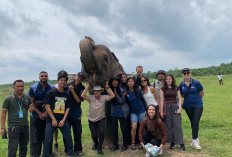 Modal Kuota dan Konten Sederhana, UMKM Wisata Ini Sukses Angkat Wisata Way Kambas hingga ke Turis Mancanegara