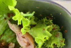 Ada Ulat di Sayur MBG SMAN 2 Liwa, Satgas Turun Tangan dan Penyedia Dapat Teguran Pertama