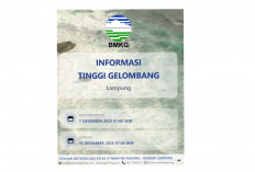 Tinggi Gelombang Hingga 10 Desember 2025 adalah 1.25  - 2.5 m, Simak! Penjelasan BMKG Maritim Lampung