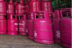 Harga LPG 12 Kg Naik Jadi Rp228 Ribu, Ini Daftar Lengkap di Tiap Wilayah