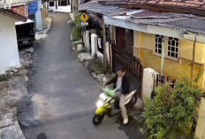 Heboh! Motor Honda Beat Raib Sekejap di Halaman Rumah Bandar Lampung, Wajah Pelaku Terekam CCTV
