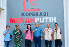 Anggota DPD RI Almira Nabila Fauzi Monitoring Koperasi Merah Putih di Pringsewu