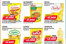 Promo JSM Alfamart Periode 18–20 September 2026, Minyak Goreng Kemasan 2 Liter Mulai Rp 41 Ribuan