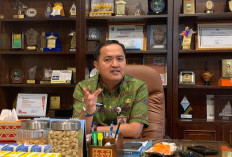 Disdikbud Lampung Pastikan Kurikulum Dikdasmen Integrasikan Coding dan AI Mulai Semester Ganjil 2026 