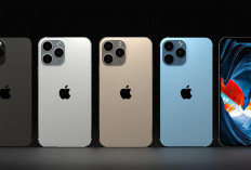 Rekomendasi iPhone Agustus 2026, Ini Seri Pro Paling Diburu
