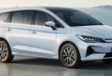 Sinyal Kuat BYD M6 PHEV Masuk Indonesia Muncul dari Dokumen Resmi, Segmen MPV Elektrifikasi Kian Memanas
