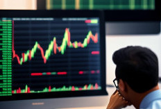 Market Tunjukkan Signal Crypto Menarik, Momentum Rebound Terlihat Dari Koin Satu Ini