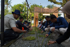 Resmikan NUSA di Pasir Sakti, PTBA Perkuat Rehabilitasi Mangrove Berbasis Masyarakat