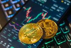 Mana yang Lebih Aman, Saham atau Crypto? Anak Muda Wajib Tahu Sebelum Salah Pilih Investasi