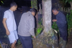 Lansia 88 Tahun di Pringsewu Ditemukan Meninggal dalam Sumur