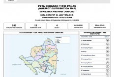 BMKG Deteksi 200 Titik Panas dalam 24 Jam, Ada Hotspot Merapat ke Area Bandara