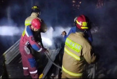 Gudang Pakan Ternak dan 15 Ekor Kambing Ludes Terbakar di Way Laga, Kerugian Capai Rp 65 Juta 