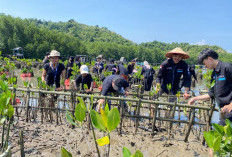 BEM FTIK Universitas Teknokrat Tanam Seribu Pohon Mangrove di Pesisir Sidodadi