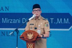 Lampung Kuasai 70 Persen Produksi Nasional, Ekspor Tapioka Tembus 10.000 Ton