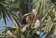 Desa Hendrosari Bangkit: Pembeli Datang, UMKM Tumbuh, Ekonomi Melaju Berkat Pemberdayaan Desa BRILian