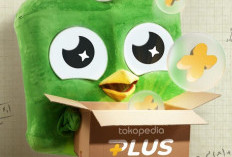 Kode Voucher Tokopedia, Ada Diskon Pulsa dan Tagihan Hingga Rp12 Ribu yang Bisa Dipakai Berkali-kali!